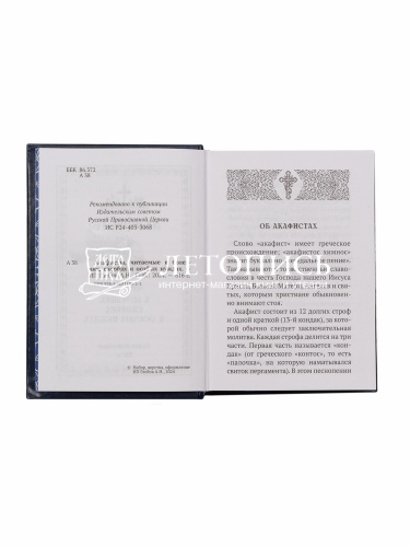 Акафисты, читаемые в болезнях, скорбях и особых нуждах фото 4