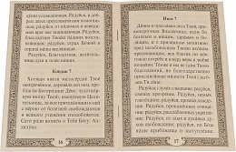 Акафист Пресвятой Богородице в честь иконы Её "Целительница"