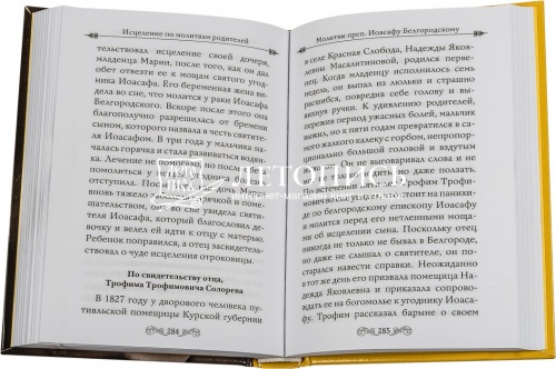 Светлый образ отца. Подвиг веры и благочестия фото 4