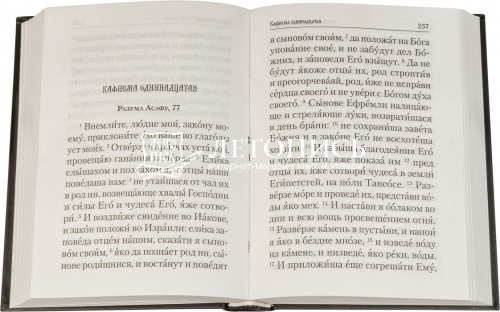 Псалтирь и молитвы по усопшим (арт. 03681) фото 2
