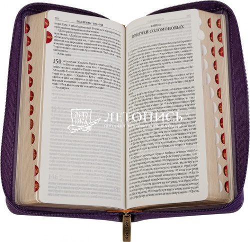 Библия в кожаном переплете, синодальный перевод (арт. 14160) фото 3