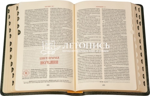 Библия в кожаном переплете, футляр, золотой обрез (арт. 09230) фото 3
