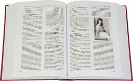 За Христа пострадавшие. Гонения на Русскую Православную Церковь. 1917-1956. Книга первая. А