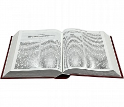 Библия. Книги Священного Писания Ветхого и Нового Завета (арт. 00700)