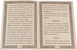 Акафист Пресвятой Богородице в честь иконы Её "Три радости"