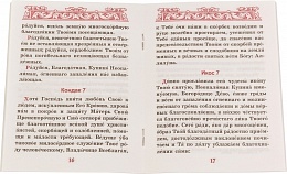 Акафист Пресвятой Богородице в честь иконы Ее "Неопалимая Купина" (арт. 09493)