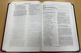 Библия в переплете из экокожи, современный русский перевод (арт.17391)
