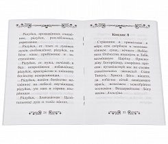 Акафист Пресвятой Богородице в честь иконе Её Целительница.