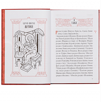 Святое Евангелие крупным шрифтом (арт. 21447)