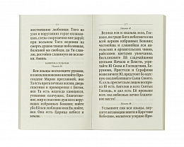 Молитвослов и Псалтирь ко Пресвятой Богородице крупным шрифтом (арт. 19777)