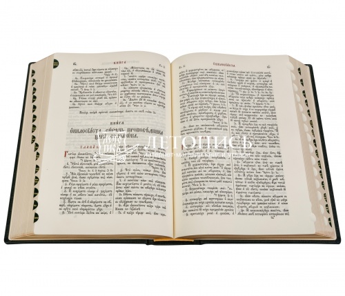 Библия в кожаном переплете, церковнославянский язык, футляр (арт.07870) фото 4
