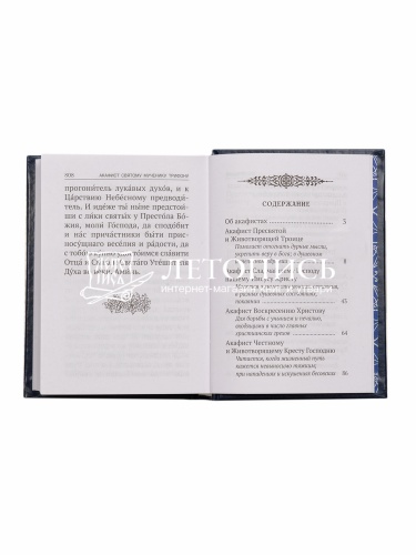 Акафисты, читаемые в болезнях, скорбях и особых нуждах фото 8