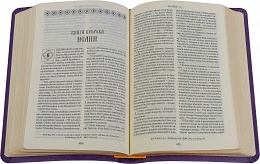 Библия в переплете из искусственной кожи, золотой обрез (арт. 13000)