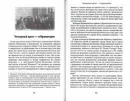 Верю в Промысл Божий. Протоиерей Михаил Чельцов (арт. 21206)