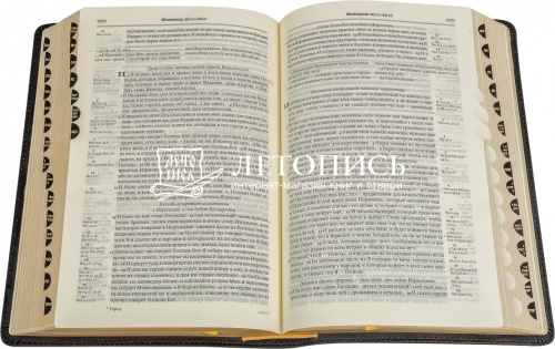 Библия в кожаным переплете, синодальный перевод, золотой обрез с указателями (арт.08524) фото 4