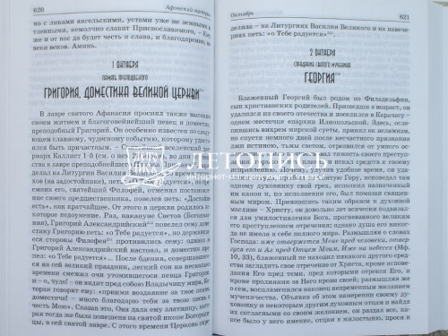 Афонский патерик, или Жизнеописания святых, на Святой Афонской Горе просиявших (Арт. 17719) фото 6