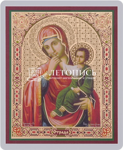 Икона Божией Матери "Отрада (Утешение)" (ламинированная с золотым тиснением, 80х60 мм)