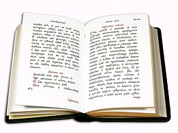Требник на церковнославянском языке. Кожаный переплет, золотой обрез (Арт. 04544)