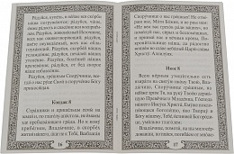Акафист Пресвятой Богородице в честь иконы Ее "Споручница грешных"
