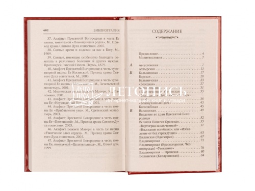 Молитвы к 145 чудотворным иконам Божией Матери. С указанием на особую благодать помощи в различных нуждах и немощах человеческих фото 4