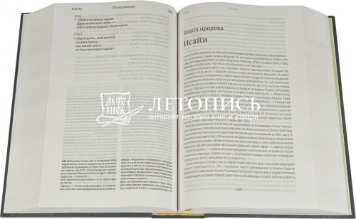 Библия в тканевом переплете, современный русский перевод, учебное издание (арт. 08737) фото 2