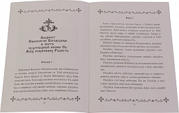 Акафист Пресвятой Богородице в честь иконы Ее Всех скорбящих радость (с грошиками, петербургская)