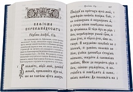 Псалтирь на церковнославянском языке с толкованием (арт. 03712)
