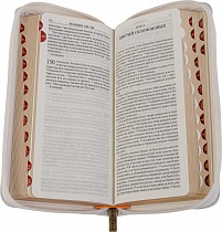 Библия в кожаном переплете, синодальный перевод (арт. 14159)