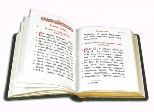 Псалтирь на церковнославянском языке в кожаном переплете (арт. 17068) фото 3