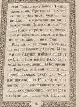 Акафист Пресвятой Богородице в честь иконы Её "Три радости"