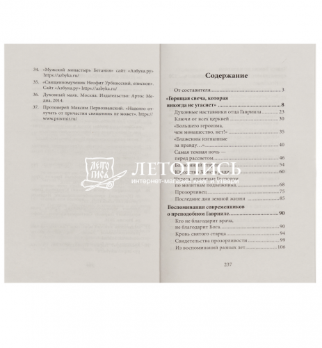 Любовь изгоняет страх. Преподобный Гавриил (Ургебадзе) (арт. 21421) фото 2