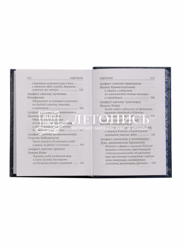 Акафисты, читаемые в болезнях, скорбях и особых нуждах фото 10
