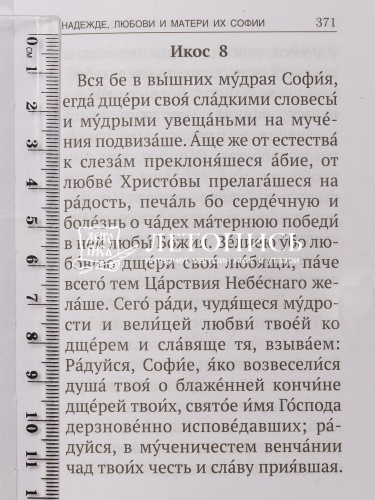 Акафисты, читаемые в болезнях, скорбях и особых нуждах фото 12