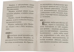 Акафист святой блаженной Матроне Московской (арт. 00406)