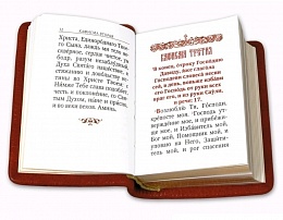 Псалтирь карманная в кожаном переплете, золотой обрез (арт. 14783)
