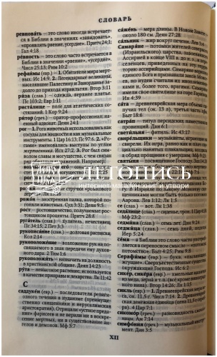 Библия, синодальный перевод, малый формат, серебряный обрез, украшенная бисером (арт.11123) фото 11