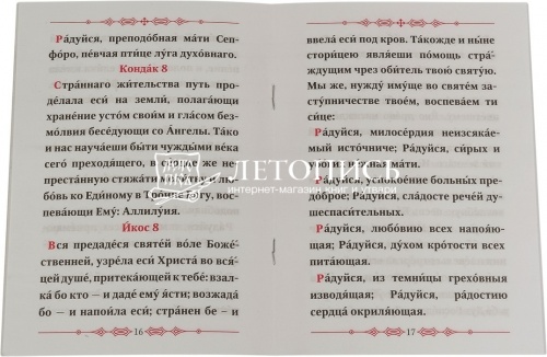 Акафист схимонахине Сепфоре (Шнякиной) для домашнего и келейного чтения фото 2