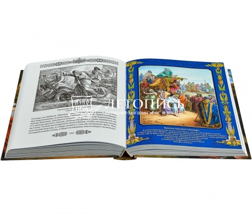 Иллюстрированная Библия: Избранные истории для семейного чтения (арт. 06714) фото 2