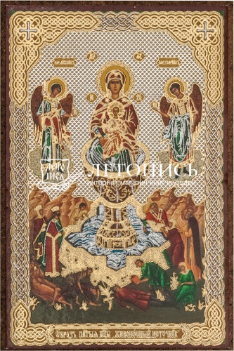 Икона Божией Матери "Живоносный Источник" (оргалит, 90х60 мм)
