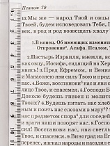 Псалтирь пророка и царя Давида. Учебная с переводом П.А. Юнгерова (арт. 20651)