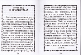 Святые молитвы: Сборник наиболее употребляемых православными христианами молитв (арт. 21288)