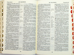 Библия в кожаном переплете, канонические книги, синодальный перевод, золотой обрез с указателями (арт.17397)