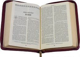 Библия в кожаном переплете на молнии, золотой обрез (арт. 12999)