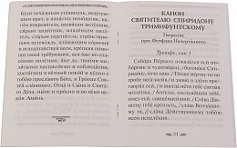 Святитель Спиридон Тримифунтский: Акафист, канон, житие