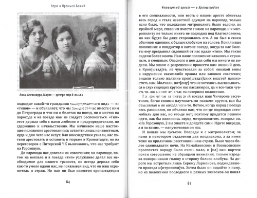 Верю в Промысл Божий. Протоиерей Михаил Чельцов (арт. 21206) фото 3