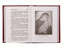 Святое Евангелие. С зачалами, с Евангельскими и Апостольскими чтениями на разные случаи жизни