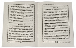 Акафист святому великомученику и целителю Пантелеимону (арт. 00425)