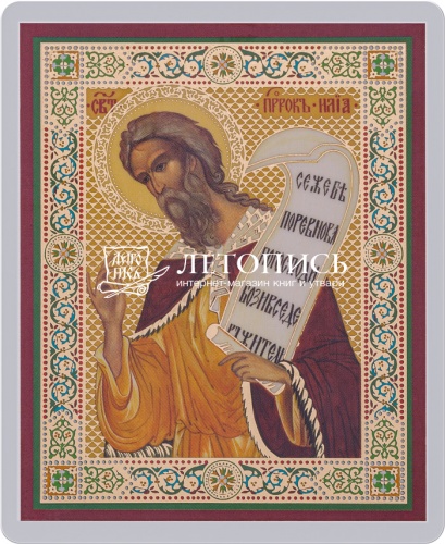 Икона "Святой пророк Илия" (ламинированная с золотым тиснением, 80х60 мм)