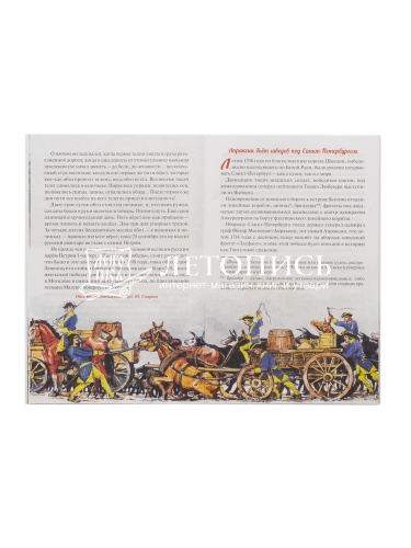 Северная война. От Головчина до Полтавы (1708-1709 г) фото 2