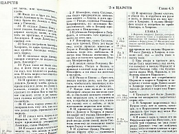 Библия в кожаном переплете на молнии, канонические книги, синодальный перевод, золотой обрез (арт.17395)